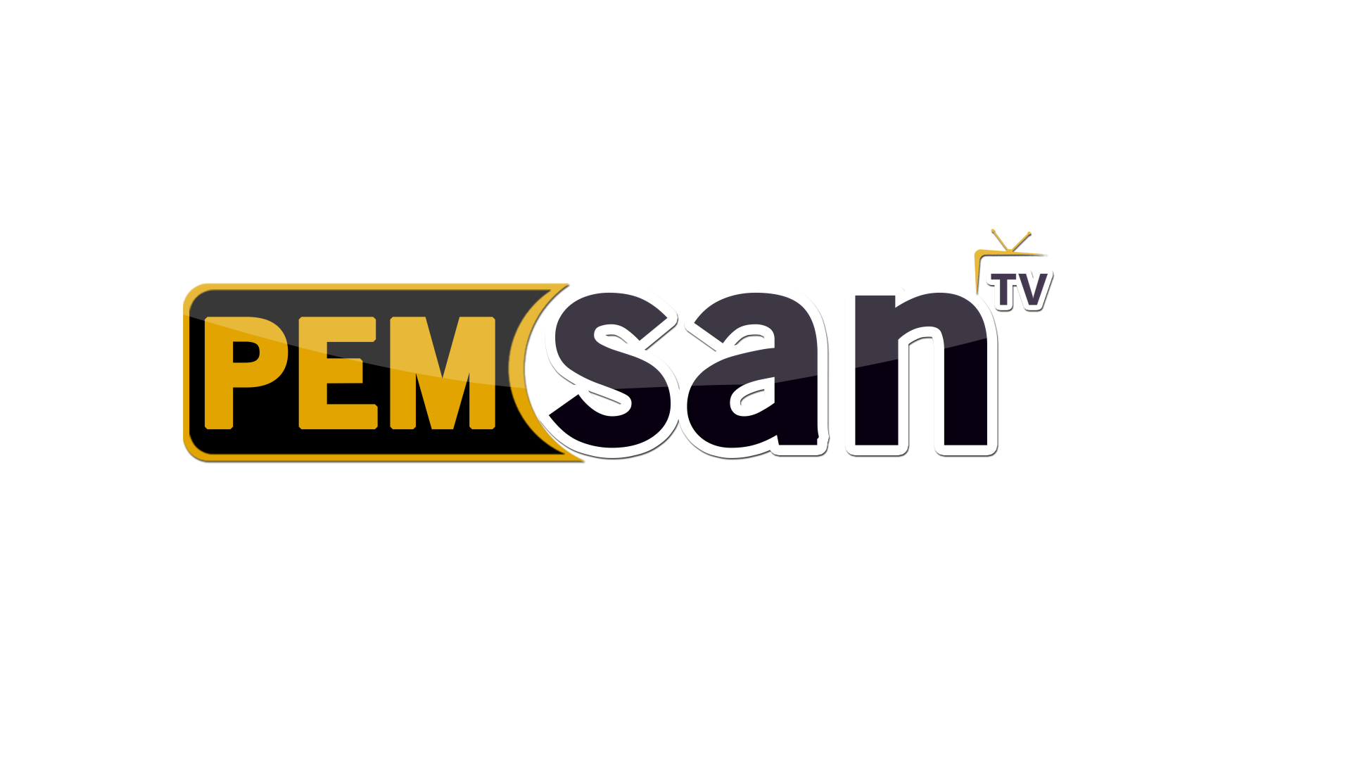 Pemsan TV logo