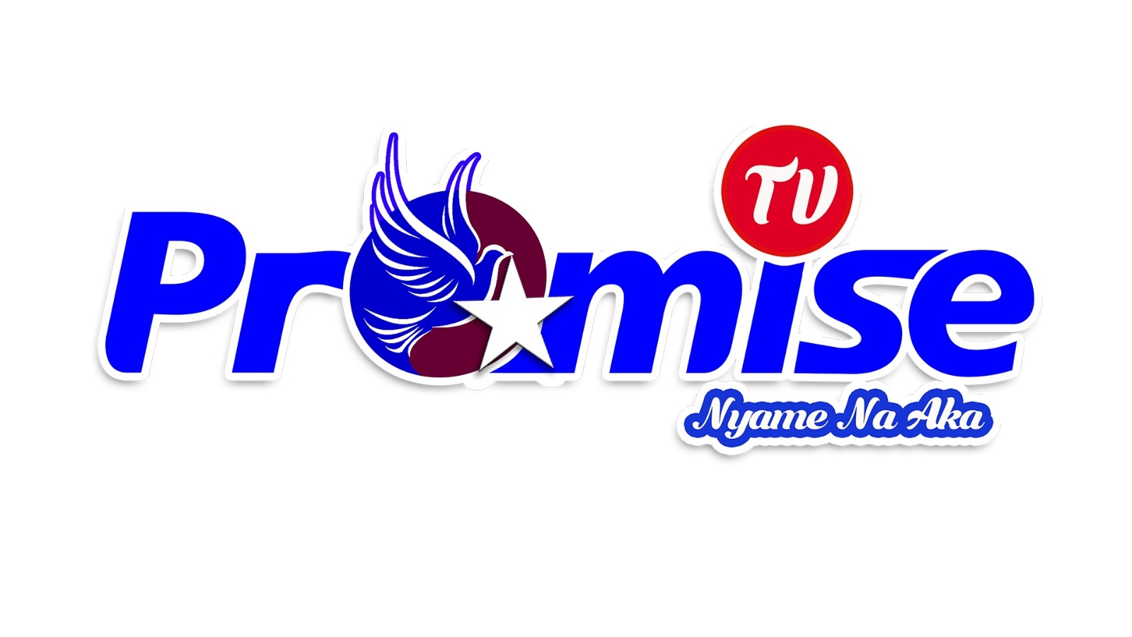 Promise TV logo