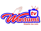 Wontumi TV - Source:LyngSat